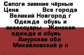Сапоги зимние чёрные › Цена ­ 3 000 - Все города, Великий Новгород г. Одежда, обувь и аксессуары » Женская одежда и обувь   . Амурская обл.,Михайловский р-н